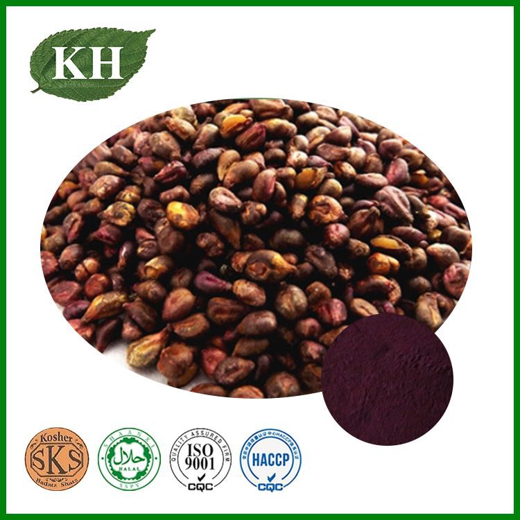 Grape Seed Extract
