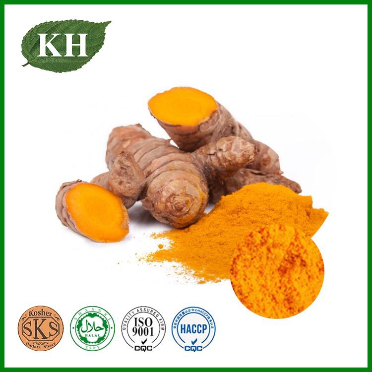 Turmeric Extract