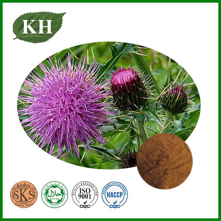 Milk Thistle Extract