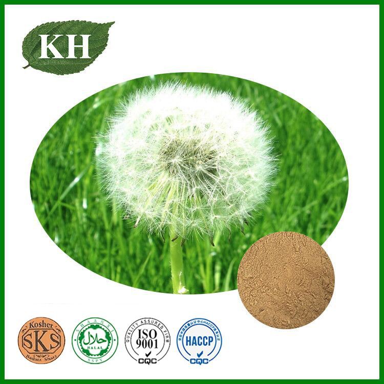 Dandelion Extract