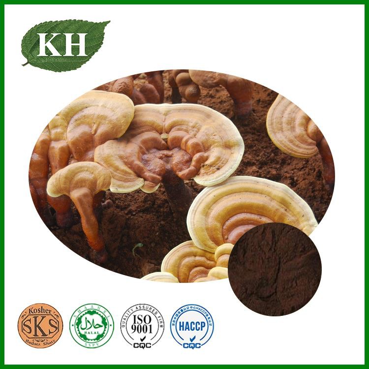 Reishi Extract