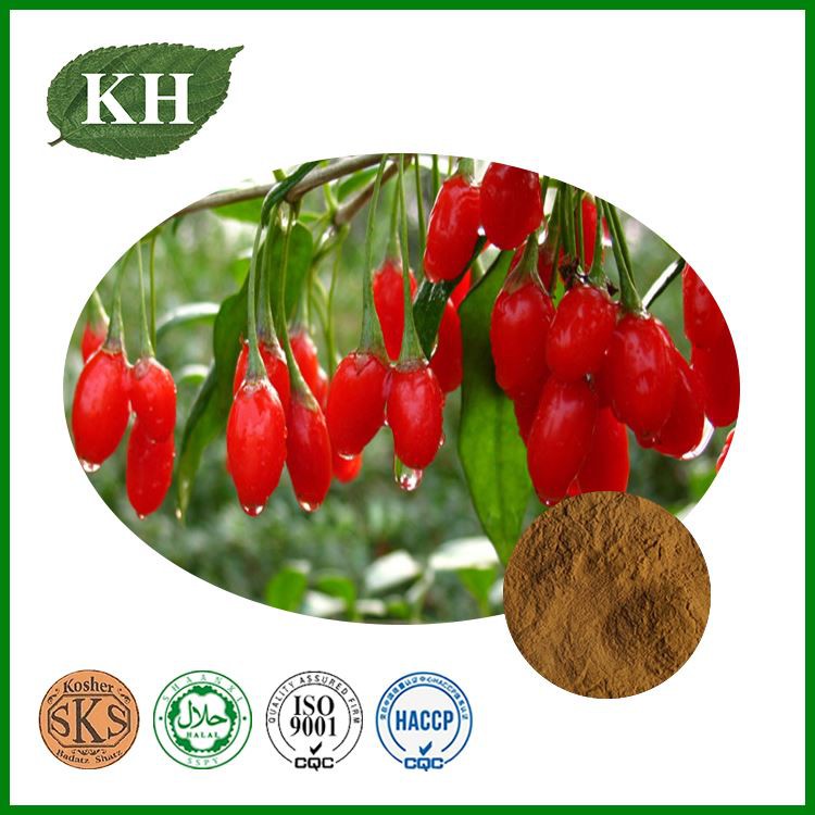 Wolfberry Extract