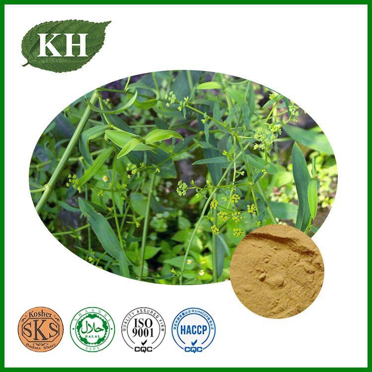 Bupleurum Extract