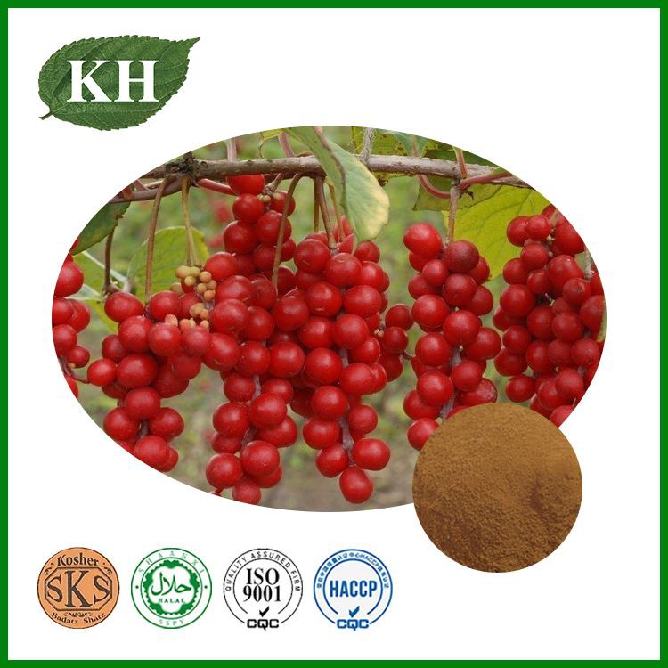 Schisandra Chinensis Extract