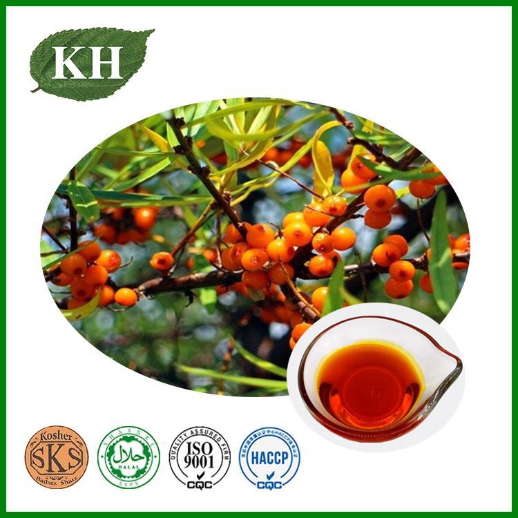 Sea Buckthorn Seed Oil Sea Buckthorn Seed Oil