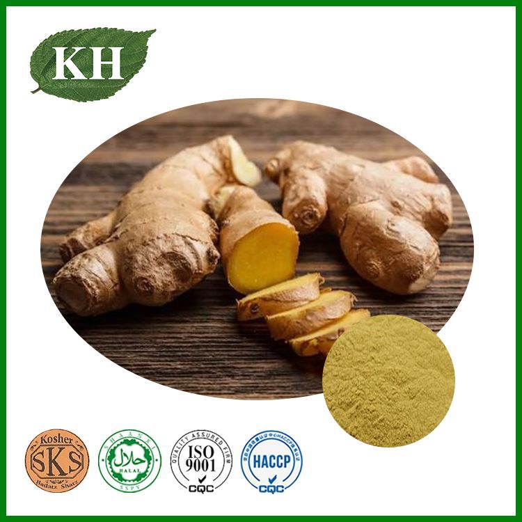 Ginger Extract Ginger Extract