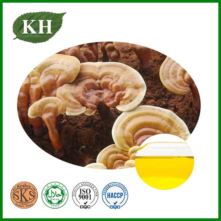 Reishi Extract Reishi Extract