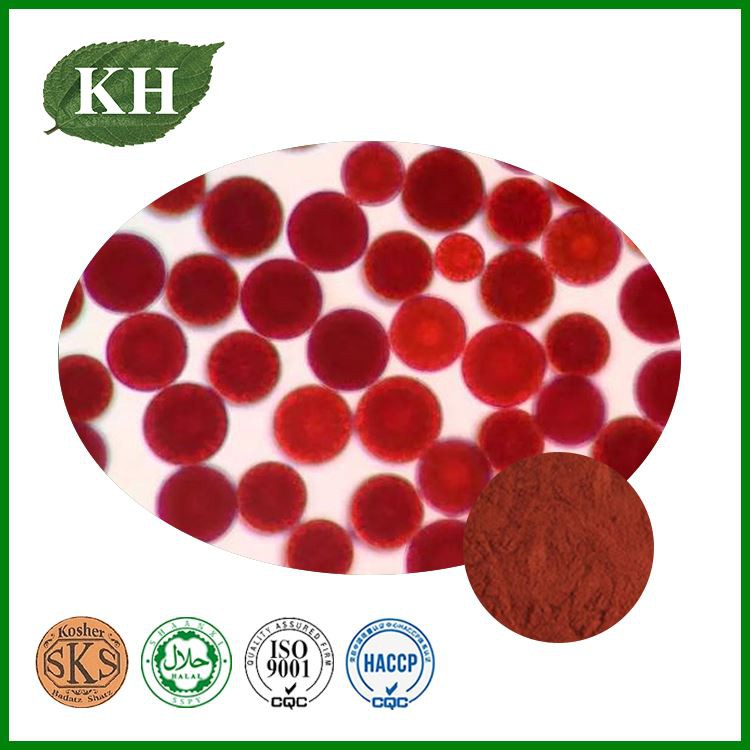 Haematococcus pluvialis algae Extract Haematococcus pluvialis algae Extract