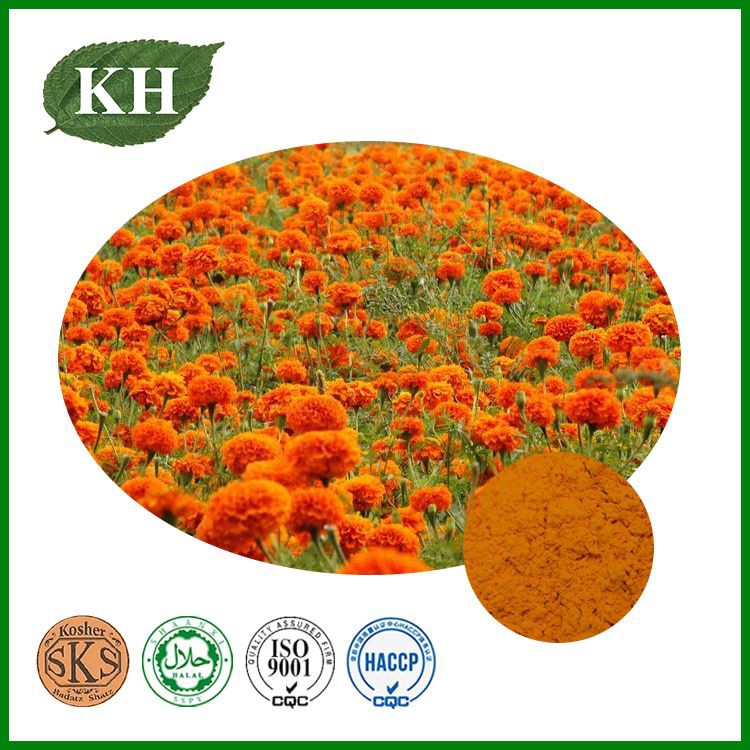 Marigold root extract Marigold root extract