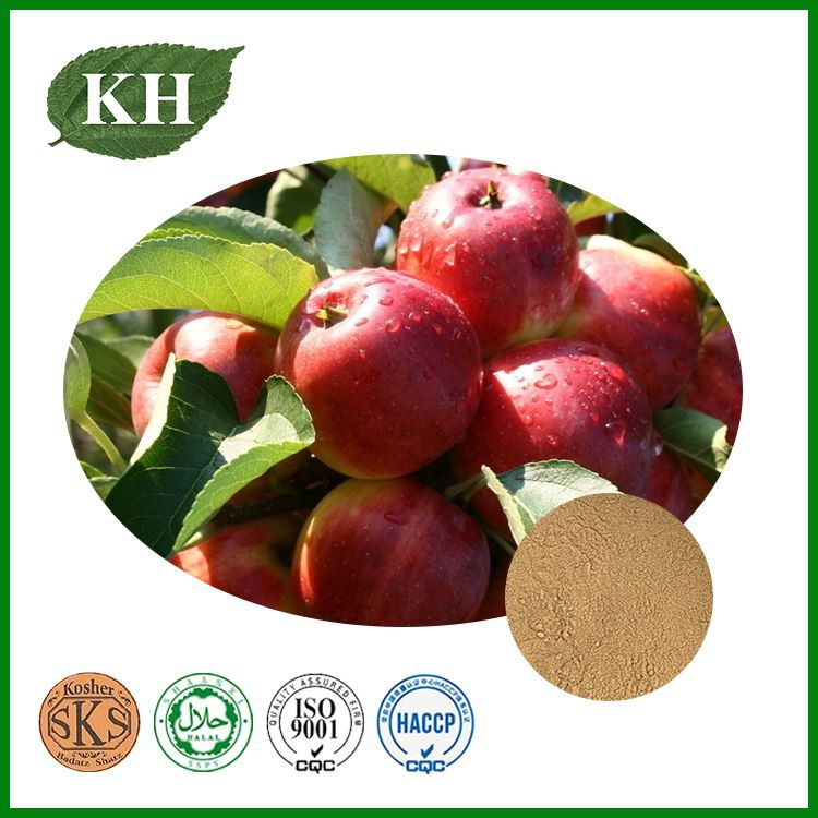 Apple Extract Apple Extract