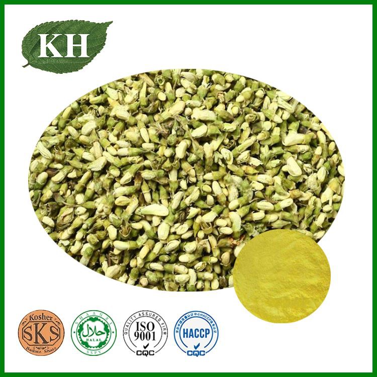 Sophora Flower Bud Extract
