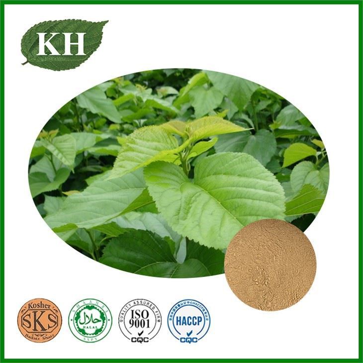mulberry-leaf-ext20417737992 mulberry-leaf-ext20417737992