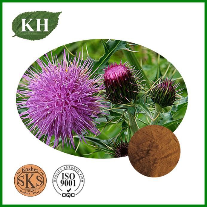 Milk Thistle Extract Milk Thistle Extract