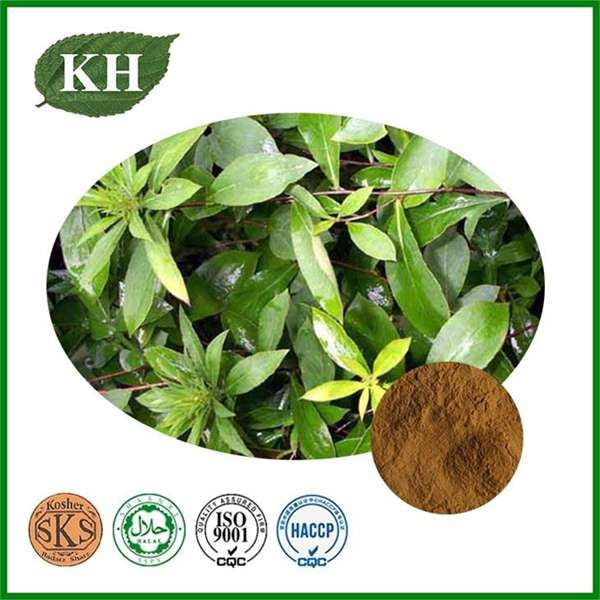senna leaf extract senna leaf extract