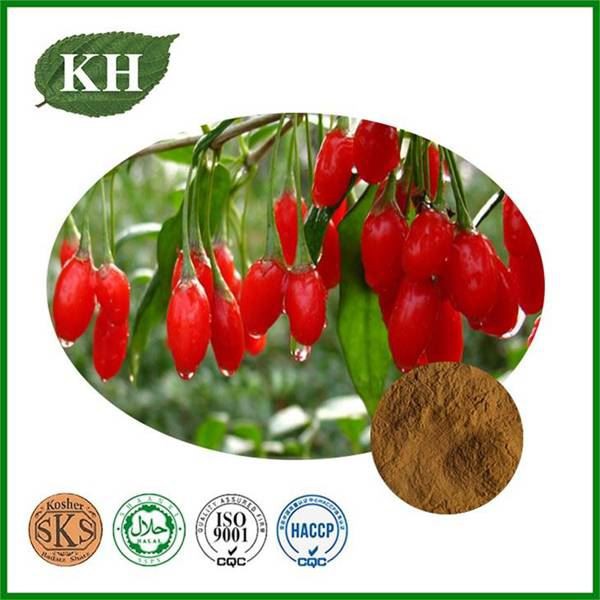 wolfberry extract