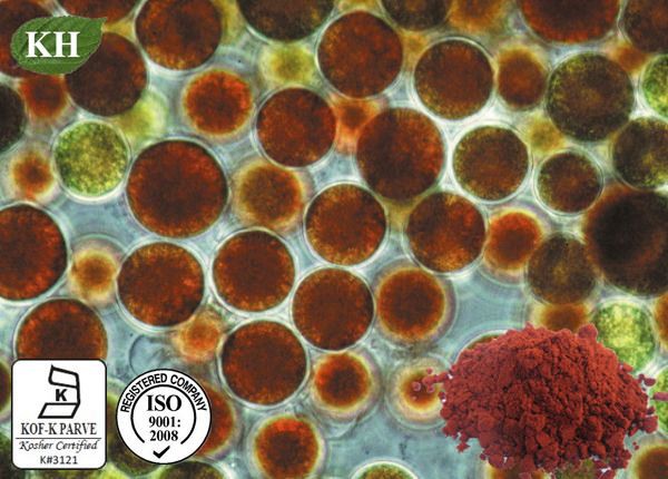 Astaxanthin KH Astaxanthin KH