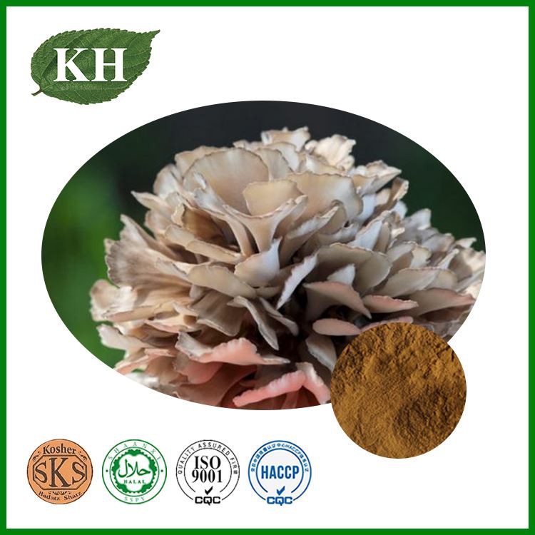 Maitake Mushroom Extract