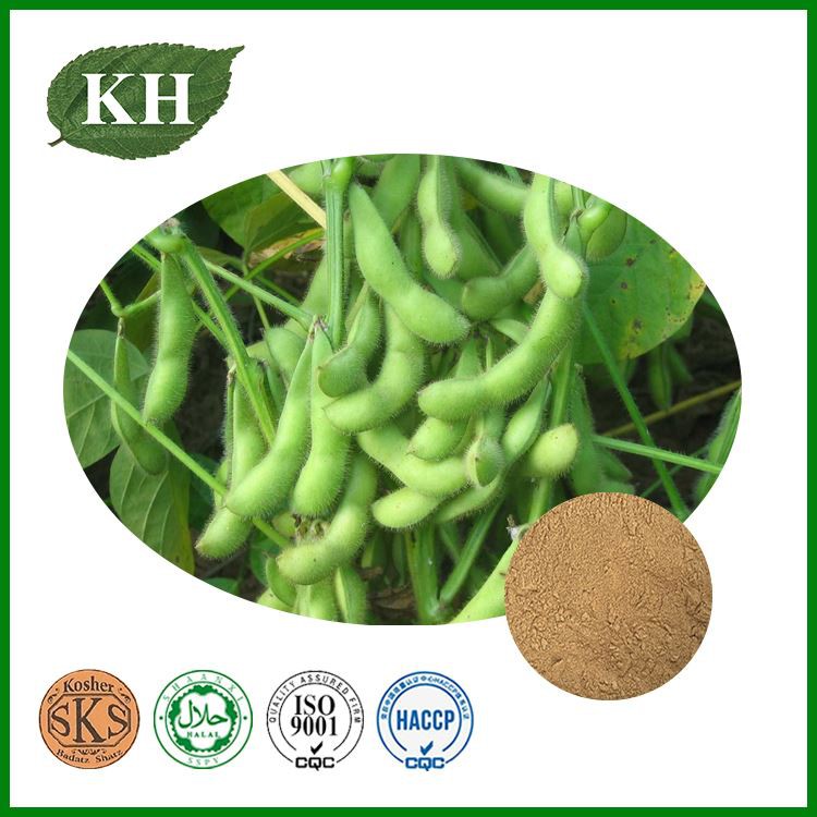 Soybean Extract