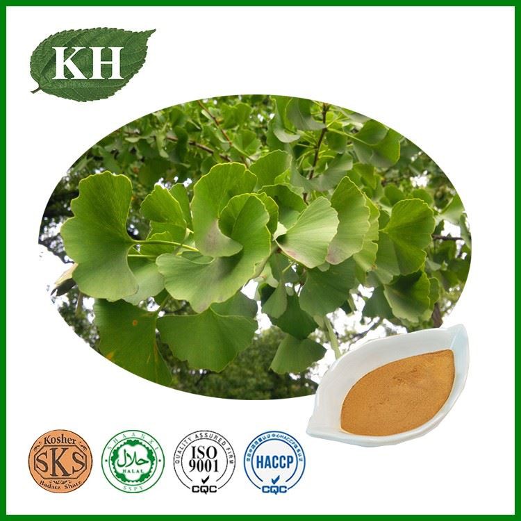 Ginkgo Biloba Extract