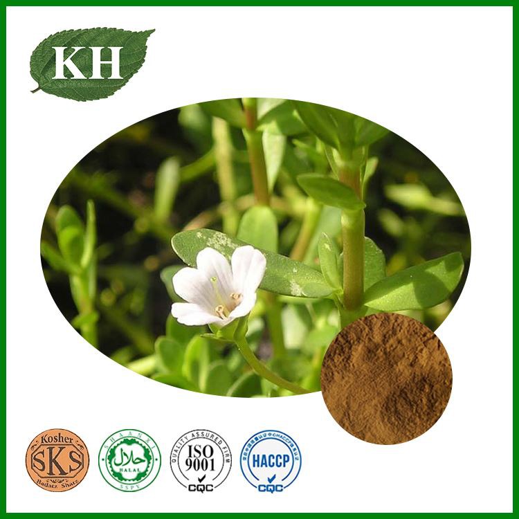 Bacopa Monnieri Extract