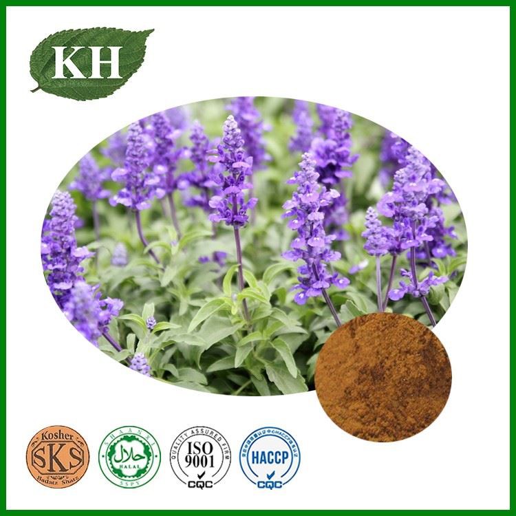 Salvia officinalis Extract