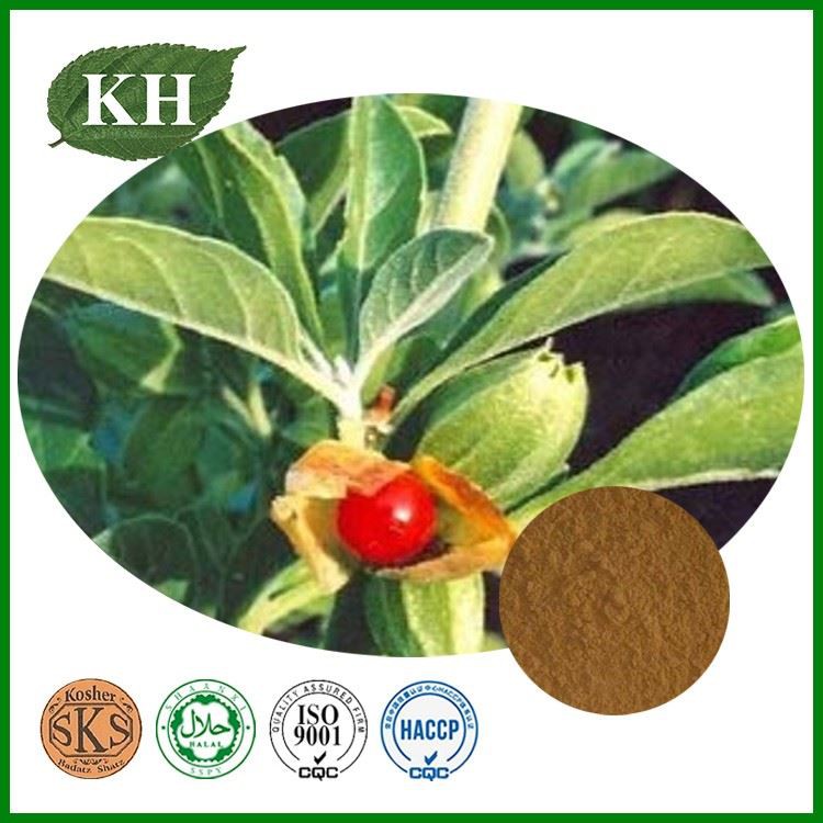 Ashwagandha Extract