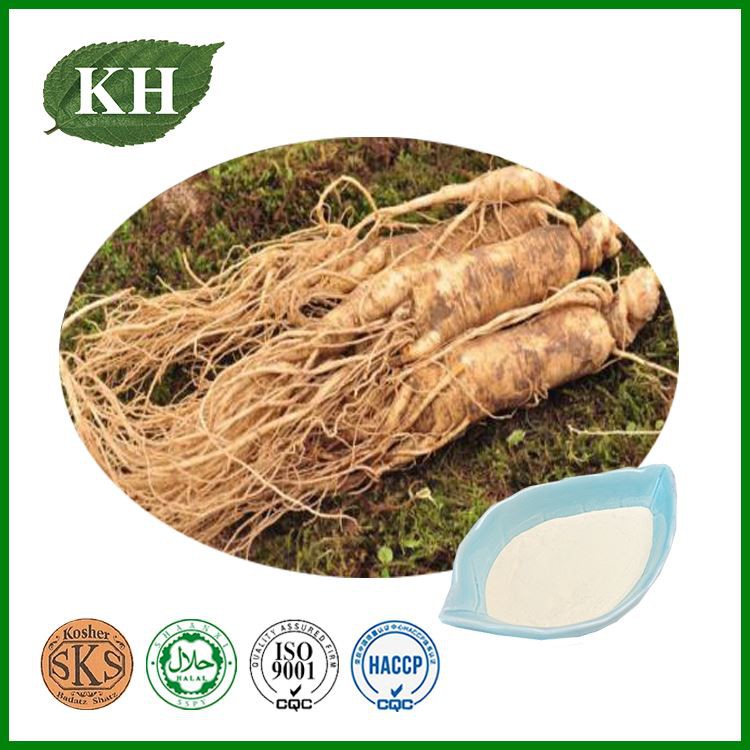 Ginseng 2