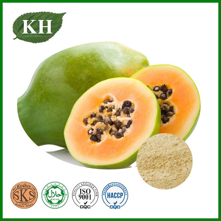 Papaya powder Papaya powder