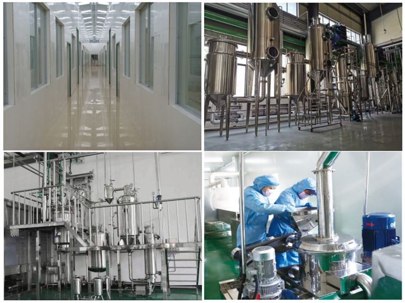 Kingherbs factory