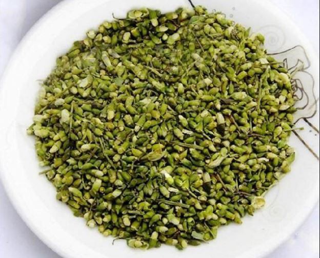 Sophora Flower Bud Extract Sophora Flower Bud Extract