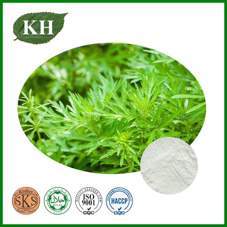 Artemisia Annua Extract Artemisia Annua Extract