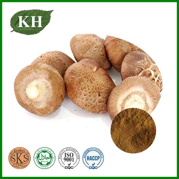 Shiitake Mushroom Extract