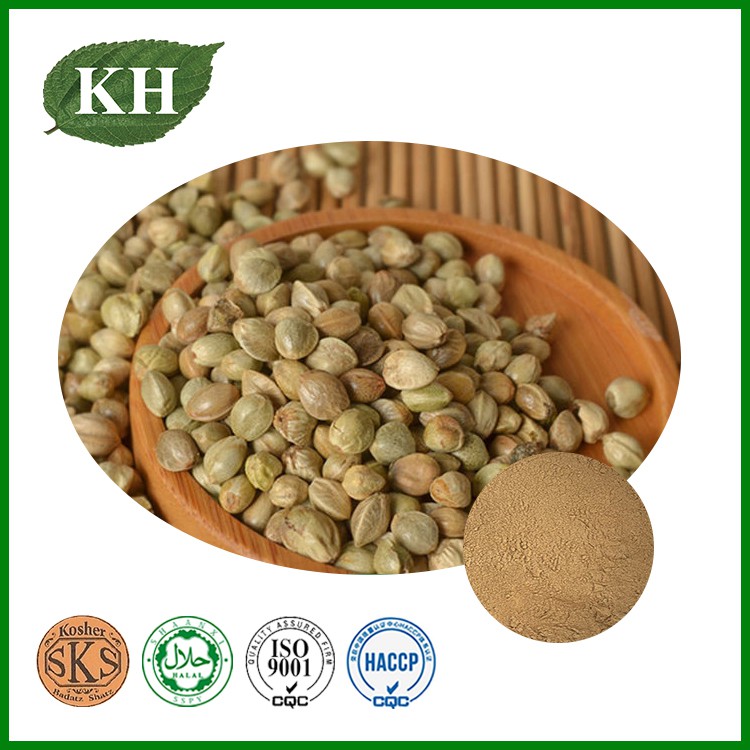 Hemp Seed Protein Hemp Seed Protein