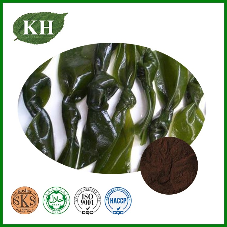 Kelp Extract Kelp Extract