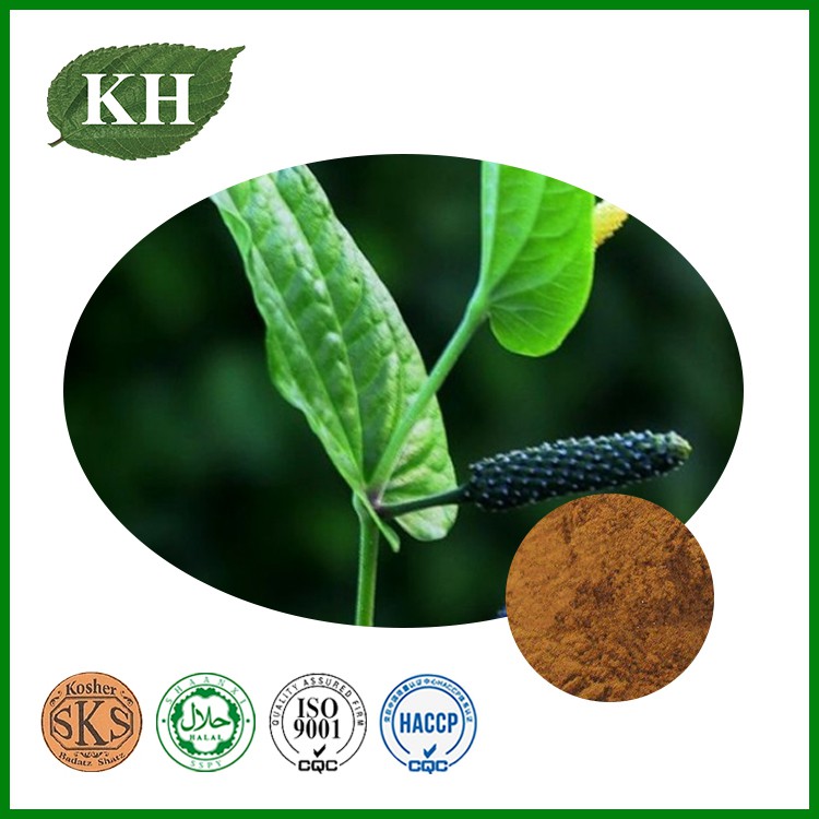 Piper Longum Extract Piper Longum Extract