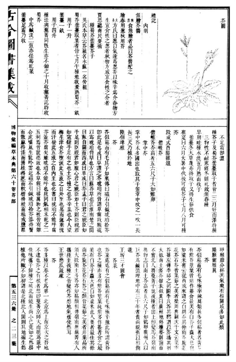 v2-0a1ec72b8fa3dd931a49a3a4882c1537720w v2-0a1ec72b8fa3dd931a49a3a4882c1537720w