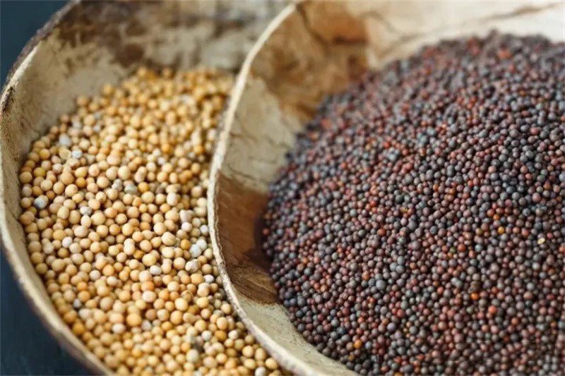 mustard seed mustard seed