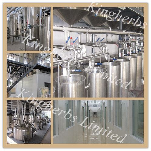 Emblica Officinalis Extract