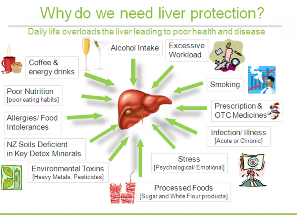 Best Herbs for Liver: 10 Herbs that work for liver