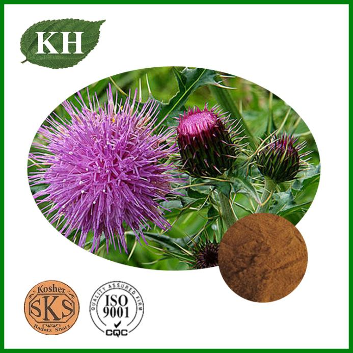 Must-see knowledge of Milk Thistle Extract!