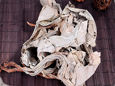 Demystifying the efficacy and function of Kacip Fatima.