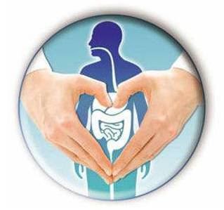 What do we need to know about Prebiotic Inulin?