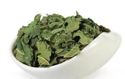 Mulberry Leaf, A Precious Herb