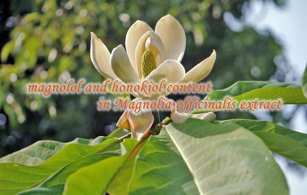Detection method of magnolol and honokiol content in Magnolia officinalis ext...