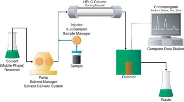 Detection method of Mangiferin and Anemarrhena Saponins BII content in Anemar...