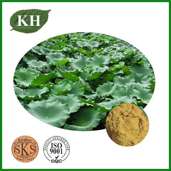 Detection method of nuciferine content in lotus leaf