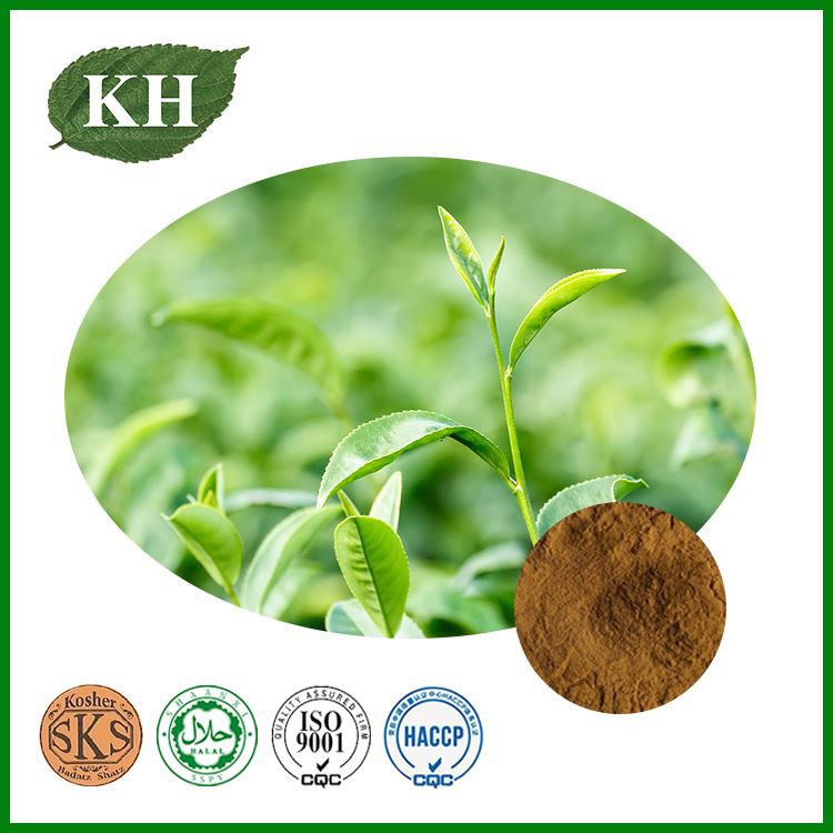 Green Tea Extract EGCG&ndash; The guardian of your skin