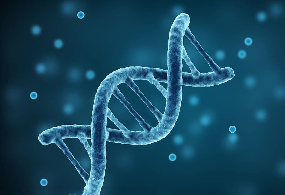 What Is &ldquo;Plant Proteinase&rdquo;?