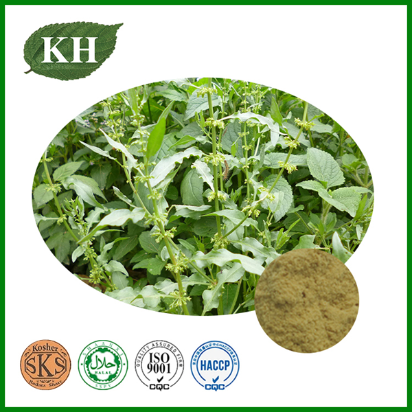 Plant Extracts for Relieving Depression