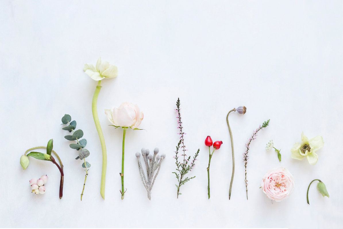 Six Natural Herbal Extracts Beneficial for Skin Care